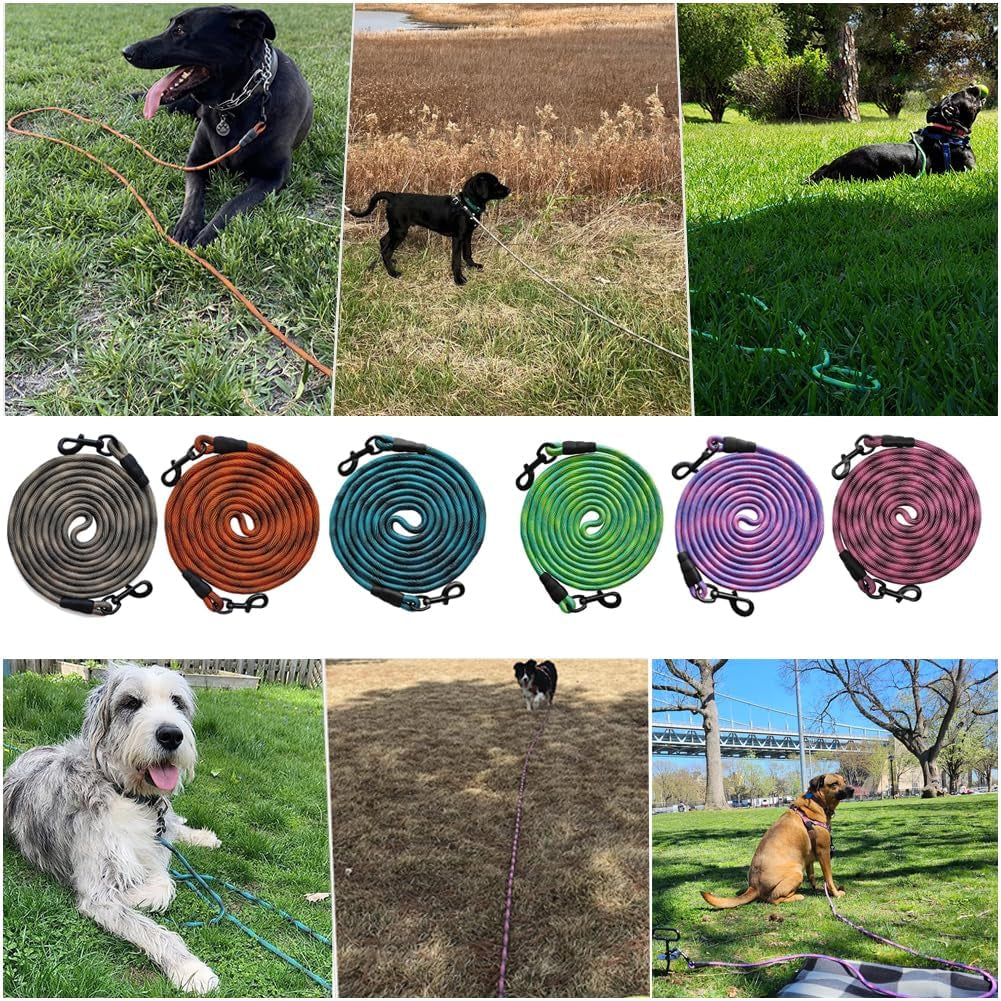 Heavy-Duty 50Ft Dog Tie Out Rope - Perfect for Training, Playing, and Camping with Large & Medium Dogs (Green)