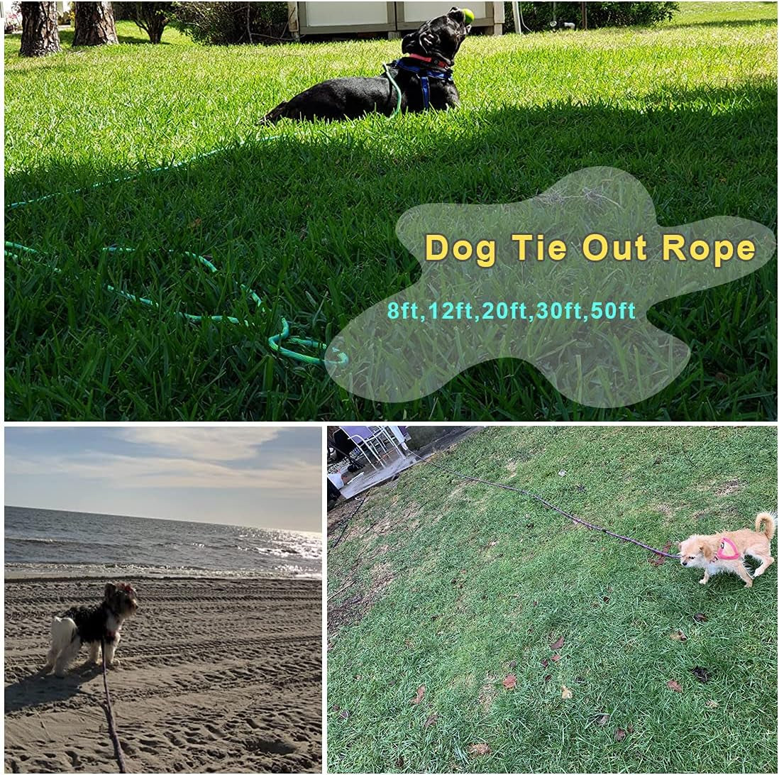 Heavy-Duty 50Ft Dog Tie Out Rope - Perfect for Training, Playing, and Camping with Large & Medium Dogs (Green)