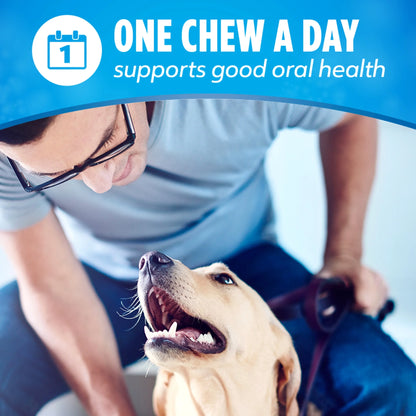 Purina Daily Oral Care Large Dog Dental Treats with Chicken - 20.7 Oz Pouch (18 Count) for Fresh Breath & Healthy Teeth!