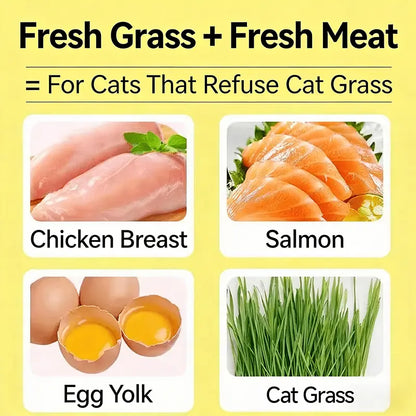 Delicious 70G Cat Grass Treats with Salmon - Hairball & Dental Care Biscuits for Healthy Training & Daily Snacking
