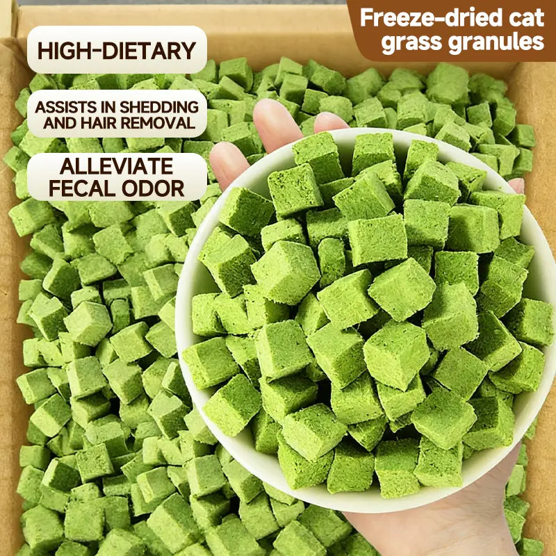 Delicious 70G Cat Grass Treats with Salmon - Hairball & Dental Care Biscuits for Healthy Training & Daily Snacking
