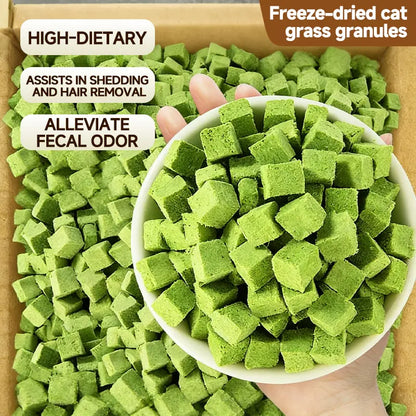 Delicious 70G Cat Grass Treats with Salmon - Hairball & Dental Care Biscuits for Healthy Training & Daily Snacking