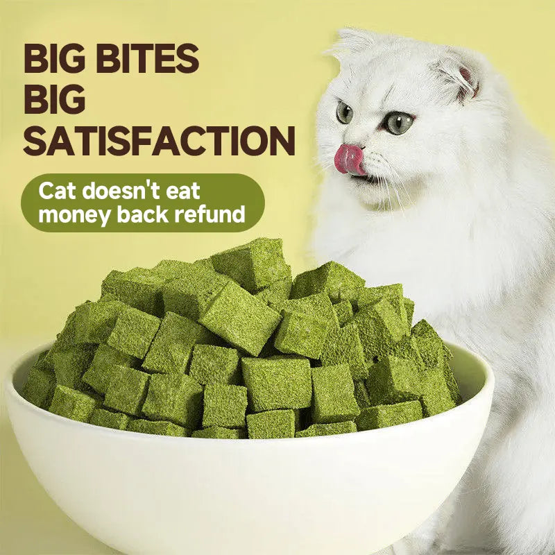 Delicious 70G Cat Grass Treats with Salmon - Hairball & Dental Care Biscuits for Healthy Training & Daily Snacking