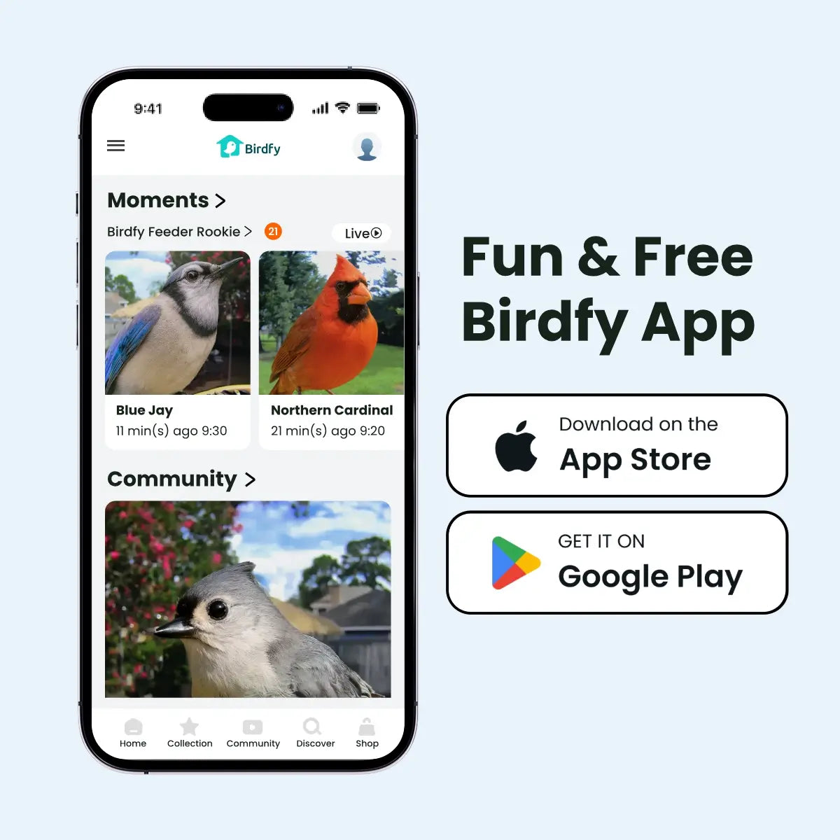 Birdfy Smart Bird Feeder with Camera - AI Recognition, Dual Night Vision, Waterproof Design for Bird Lovers