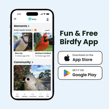 Birdfy Smart Bird Feeder with Camera - AI Recognition, Dual Night Vision, Waterproof Design for Bird Lovers