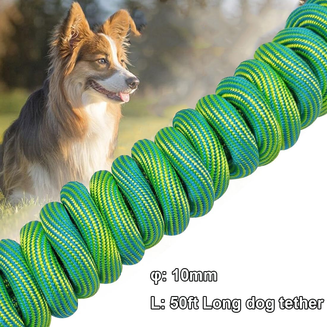 Heavy-Duty 50Ft Dog Tie Out Rope - Perfect for Training, Playing, and Camping with Large & Medium Dogs (Green)