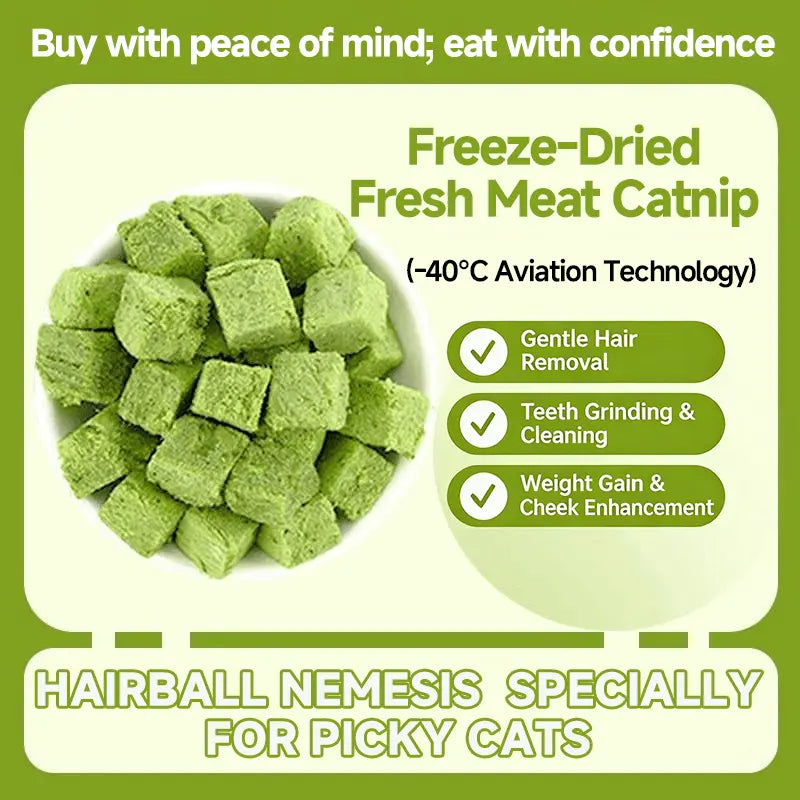 Delicious 70G Cat Grass Treats with Salmon - Hairball & Dental Care Biscuits for Healthy Training & Daily Snacking