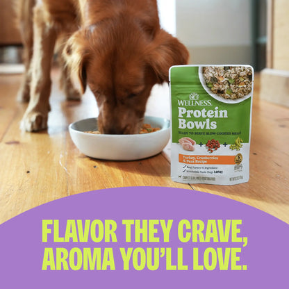 Wholesome Chicken Protein Bowls for Dogs - 6 Pack of Fresh Adult Food with Grains, 6.2 Ounce Pouches