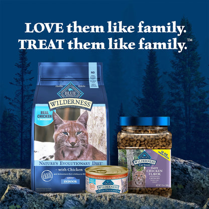 Wilderness Crunchy Chicken Cat Treats - 12oz Bag of Deliciousness for Your Feline Friend!