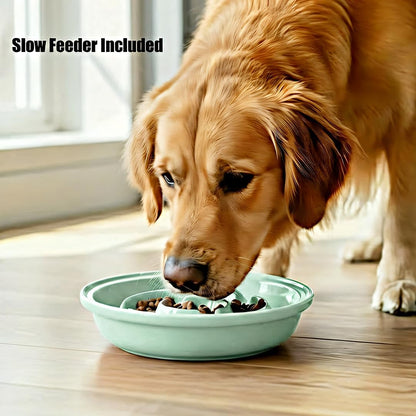 Elevated Dog Bowl Stand with 3 Durable Ceramic Bowls - Stylish Raised Feeding Station for Large Dogs, Includes 2 Standard Bowls and 1 Slow Feeder in Lucite Green