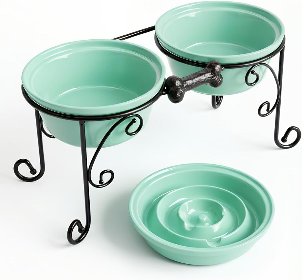 Elevated Dog Bowl Stand with 3 Durable Ceramic Bowls - Stylish Raised Feeding Station for Large Dogs, Includes 2 Standard Bowls and 1 Slow Feeder in Lucite Green