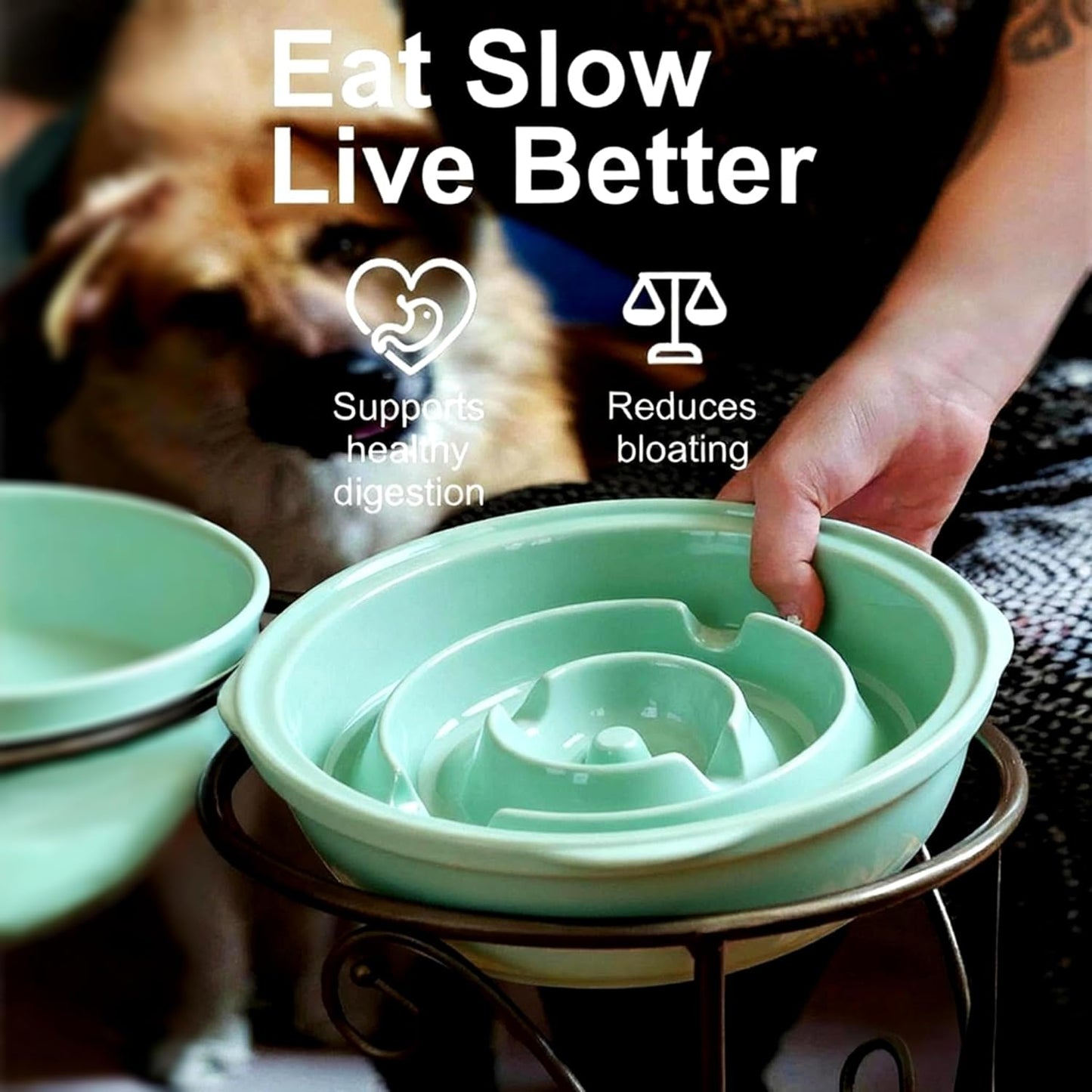 Elevated Dog Bowl Stand with 3 Durable Ceramic Bowls - Stylish Raised Feeding Station for Large Dogs, Includes 2 Standard Bowls and 1 Slow Feeder in Lucite Green