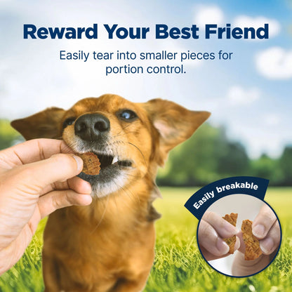 Nudges Homestyle Natural Dog Treats with Real Chicken – 16 Oz. Bag of Tail-Wagging Goodness!
