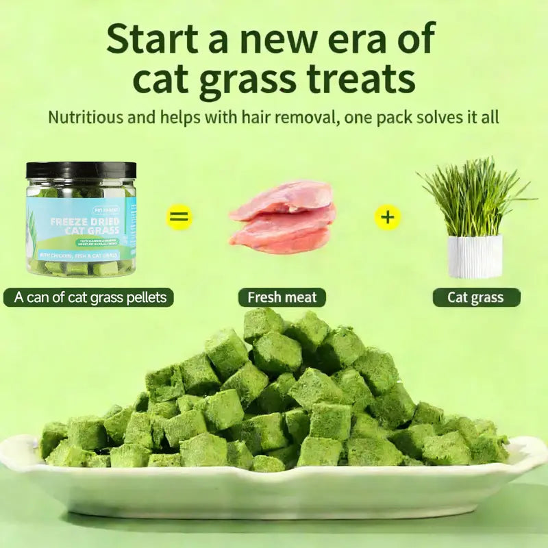 Delicious 70G Cat Grass Treats with Salmon - Hairball & Dental Care Biscuits for Healthy Training & Daily Snacking