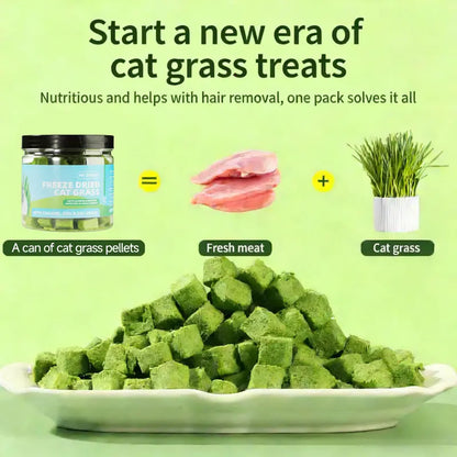 Delicious 70G Cat Grass Treats with Salmon - Hairball & Dental Care Biscuits for Healthy Training & Daily Snacking