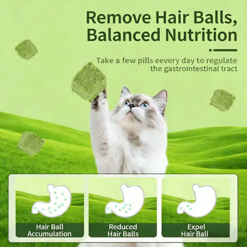 Delicious 70G Cat Grass Treats with Salmon - Hairball & Dental Care Biscuits for Healthy Training & Daily Snacking