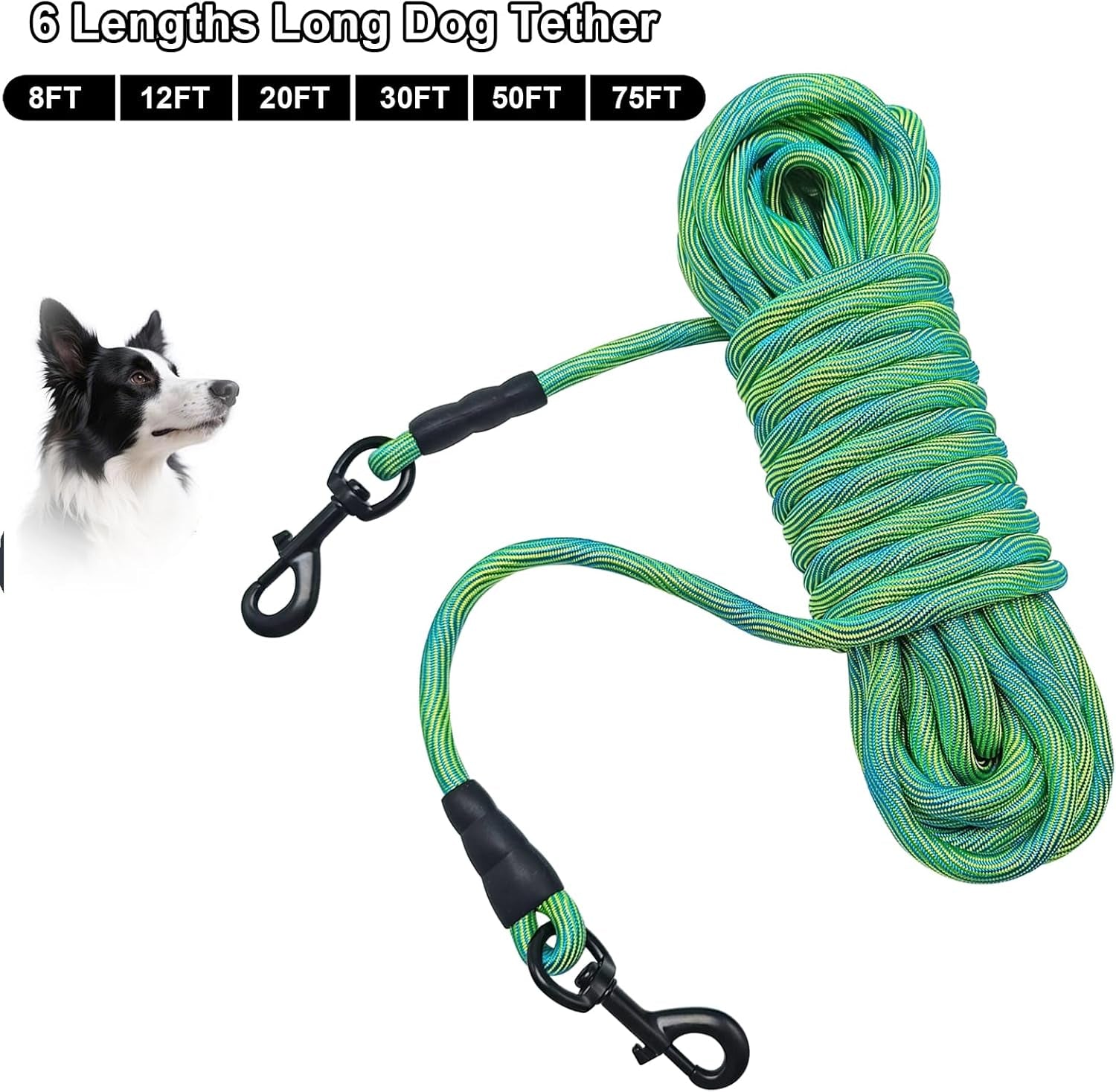 Heavy-Duty 50Ft Dog Tie Out Rope - Perfect for Training, Playing, and Camping with Large & Medium Dogs (Green)