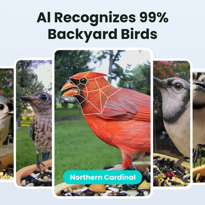 Birdfy Smart Bird Feeder with Camera - AI Recognition, Dual Night Vision, Waterproof Design for Bird Lovers