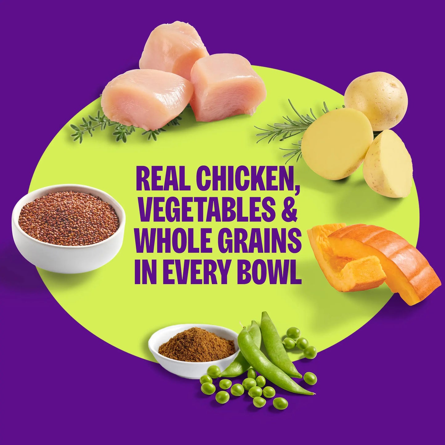 Wholesome Chicken Protein Bowls for Dogs - 6 Pack of Fresh Adult Food with Grains, 6.2 Ounce Pouches