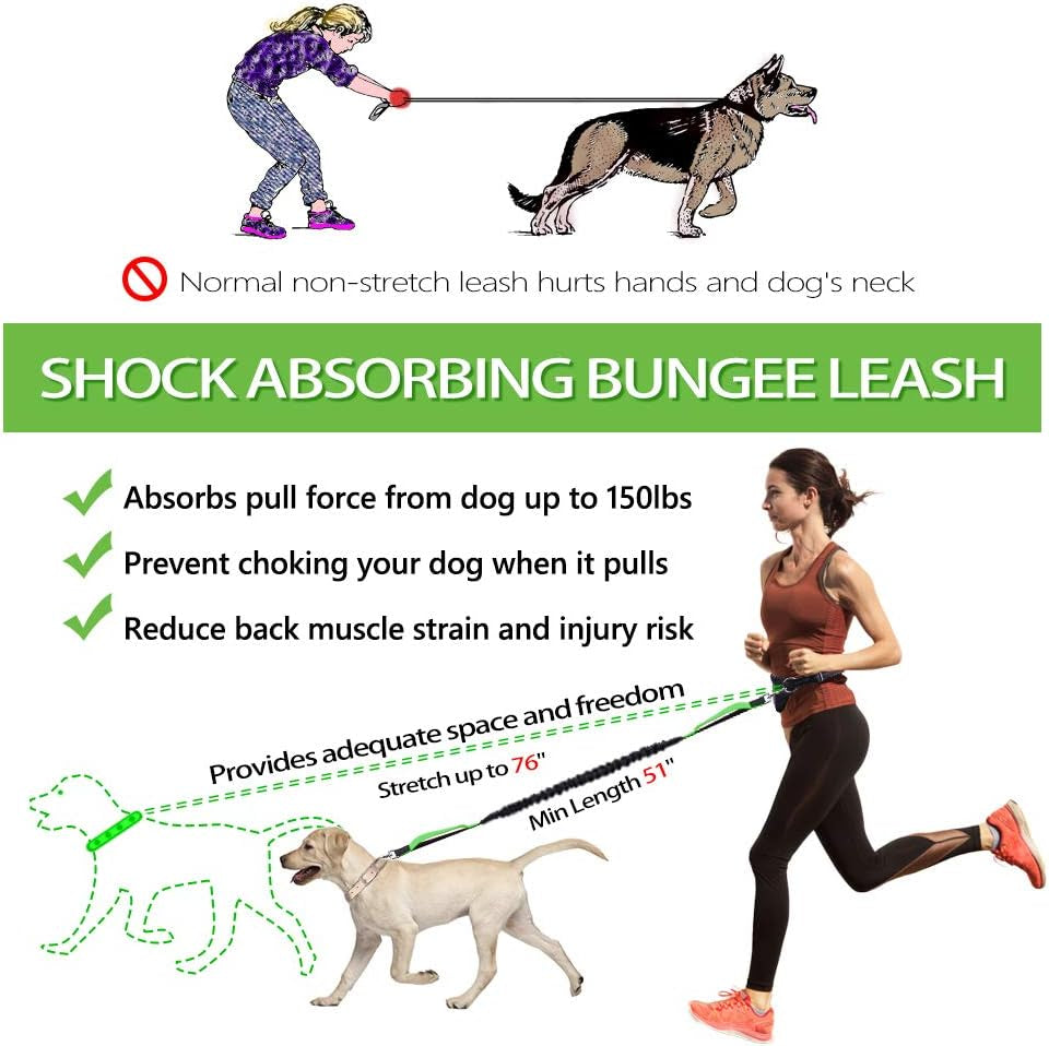 Ultimate Hands-Free Dog Leash for Running, Walking, and Hiking - Adjustable Bungee Waist Belt with Dual Handles and Reflective Stitches for Medium to Large Dogs