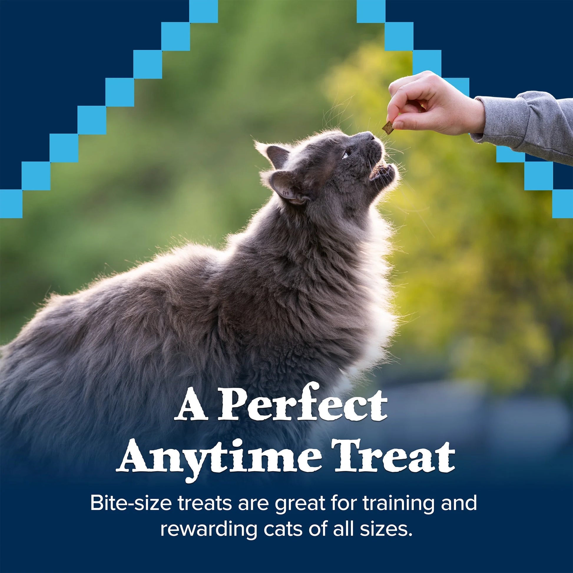 Wilderness Crunchy Chicken Cat Treats - 12oz Bag of Deliciousness for Your Feline Friend!
