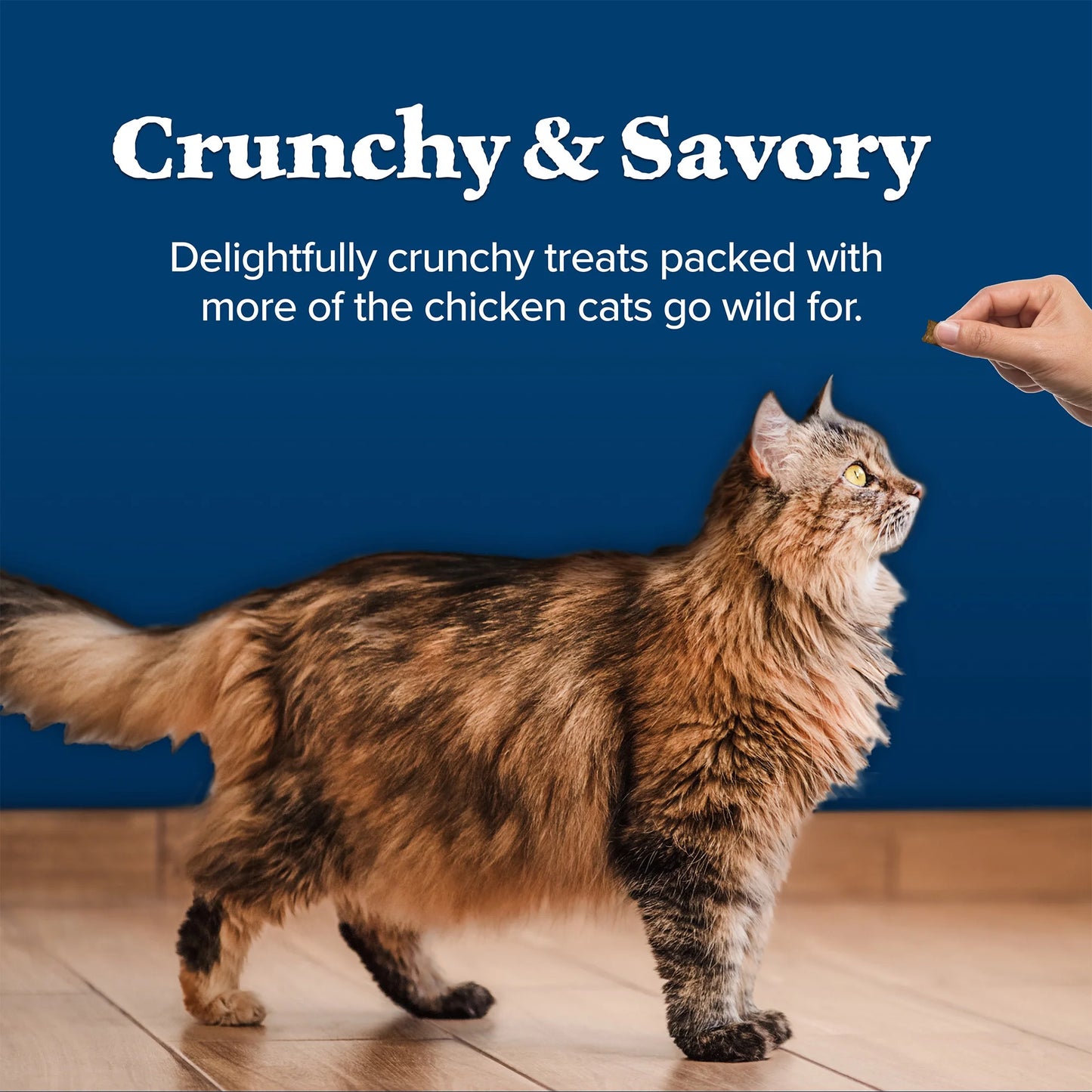 Wilderness Crunchy Chicken Cat Treats - 12oz Bag of Deliciousness for Your Feline Friend!