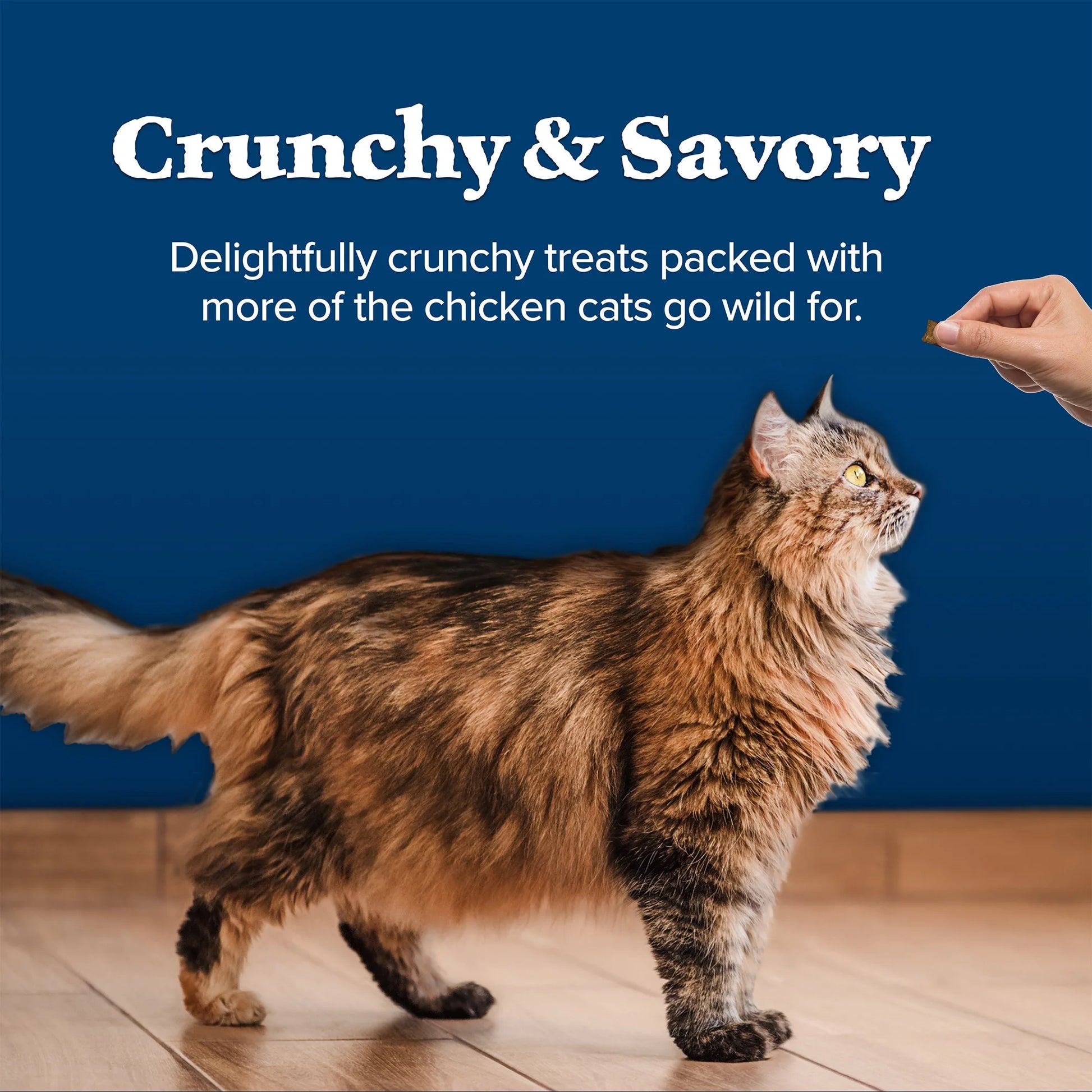 Wilderness Crunchy Chicken Cat Treats - 12oz Bag of Deliciousness for Your Feline Friend!