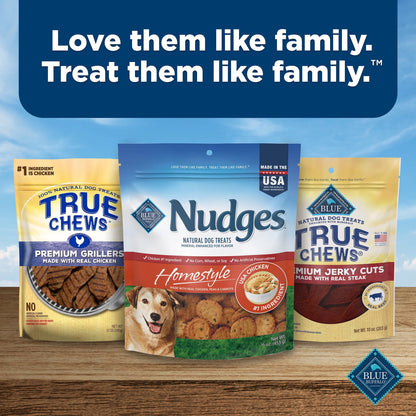 Nudges Homestyle Natural Dog Treats with Real Chicken – 16 Oz. Bag of Tail-Wagging Goodness!