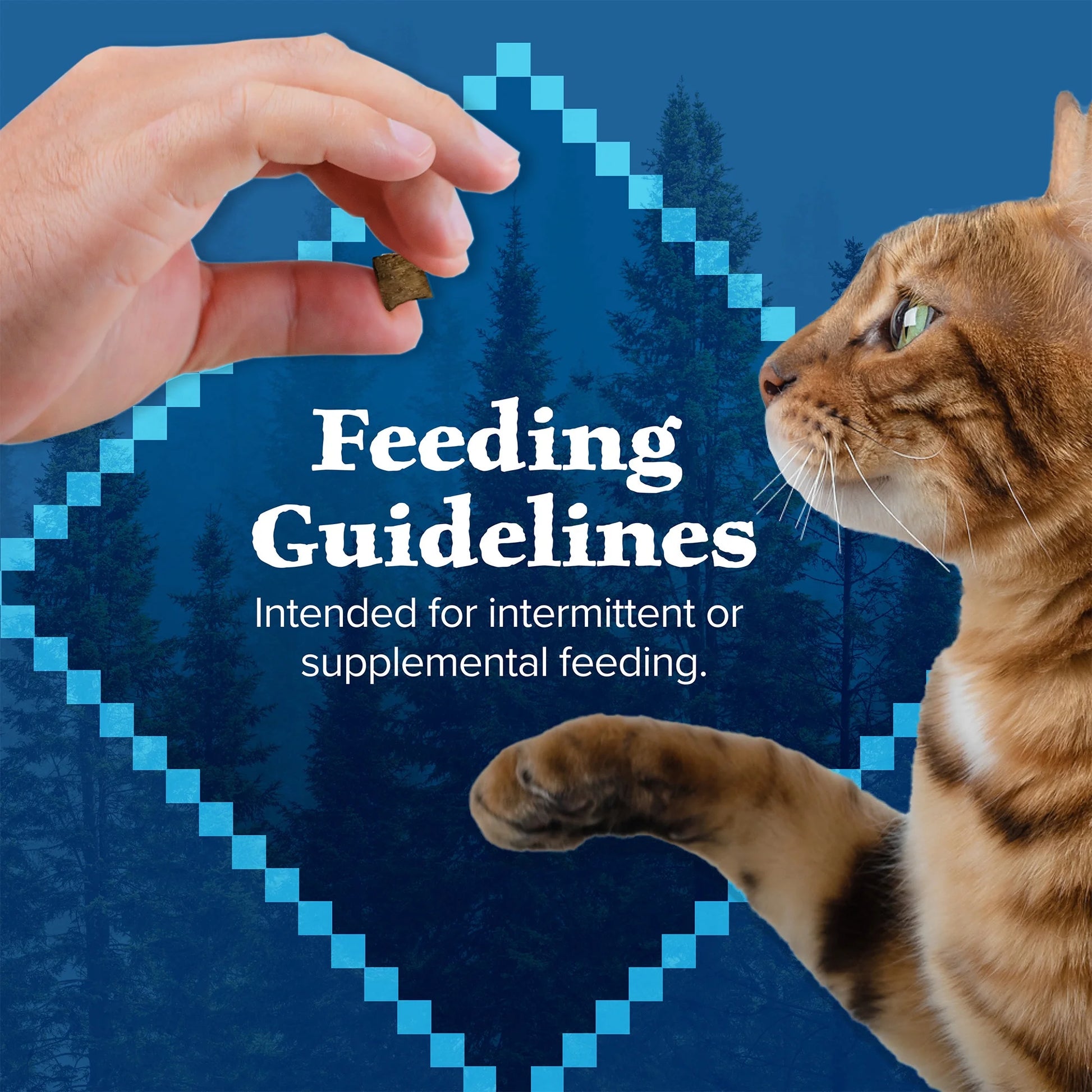 Wilderness Crunchy Chicken Cat Treats - 12oz Bag of Deliciousness for Your Feline Friend!