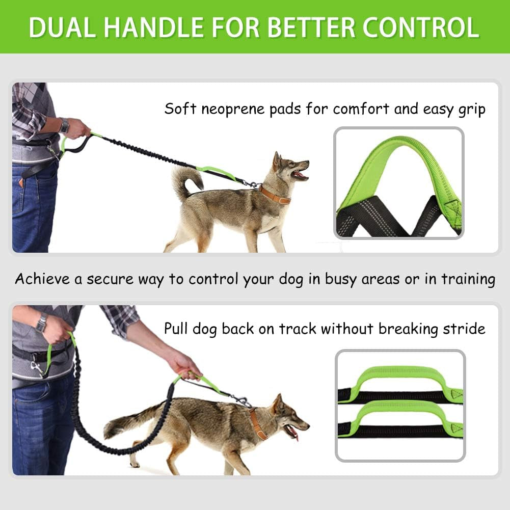 Ultimate Hands-Free Dog Leash for Running, Walking, and Hiking - Adjustable Bungee Waist Belt with Dual Handles and Reflective Stitches for Medium to Large Dogs