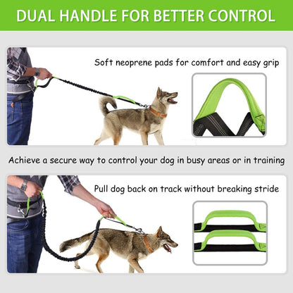 Ultimate Hands-Free Dog Leash for Running, Walking, and Hiking - Adjustable Bungee Waist Belt with Dual Handles and Reflective Stitches for Medium to Large Dogs