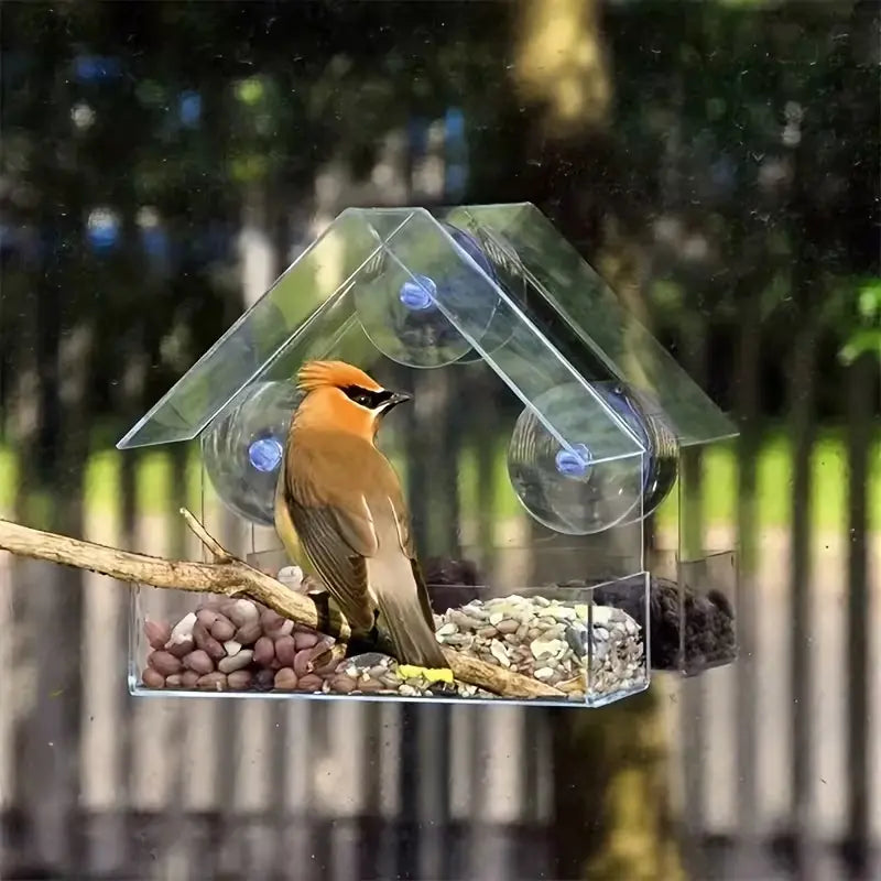 Clear Acrylic Suction Cup Bird Feeder - Perfect Window Feeder for Outdoor Bird Watching