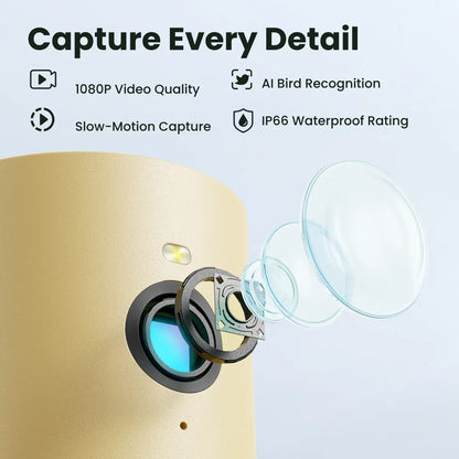 Birdfy Smart Bird Feeder with Camera - AI Recognition, Dual Night Vision, Waterproof Design for Bird Lovers