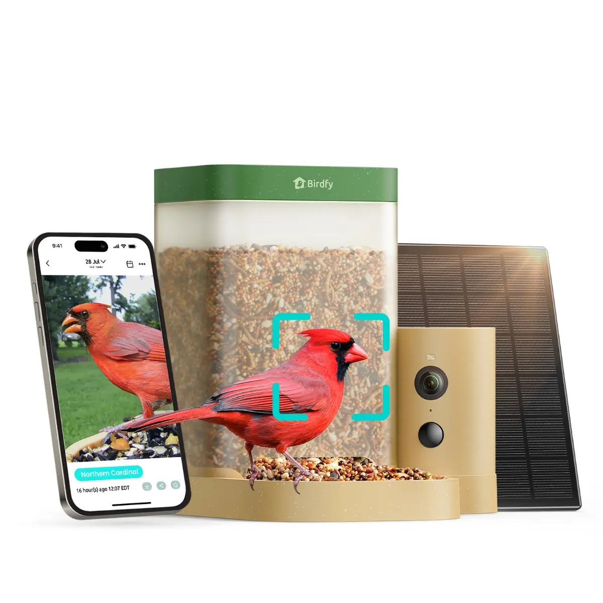 Birdfy Smart Bird Feeder with Camera - AI Recognition, Dual Night Vision, Waterproof Design for Bird Lovers