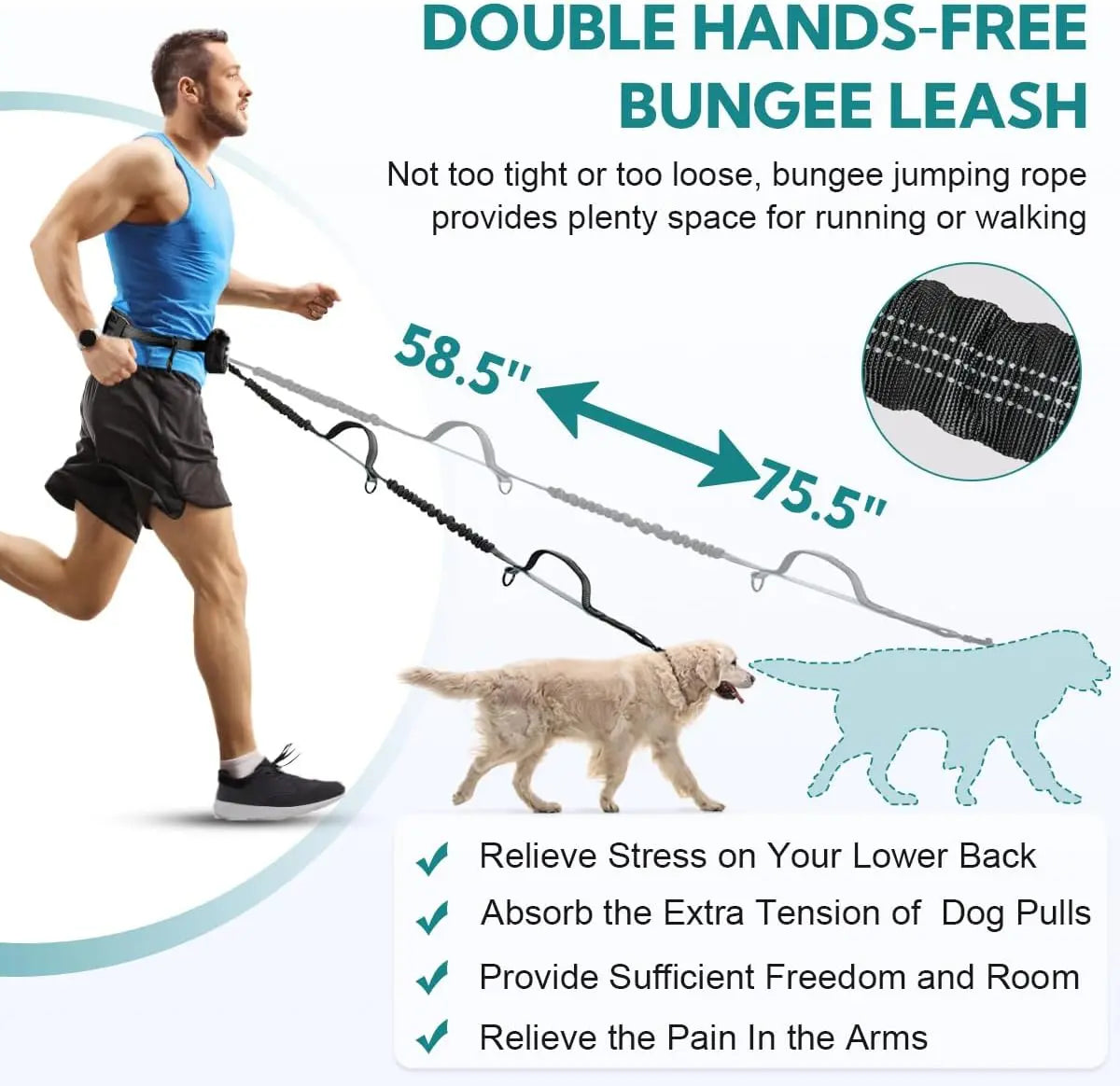Pipidodo Hands-Free Dual Dog Leash with Waist Bag & Cushioned Pad – Walk Two Dogs with Ease and Comfort!