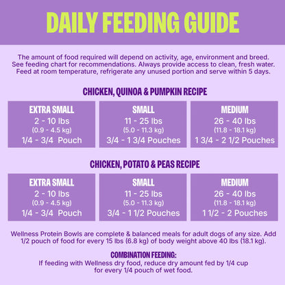 Wholesome Chicken Protein Bowls for Dogs - 6 Pack of Fresh Adult Food with Grains, 6.2 Ounce Pouches