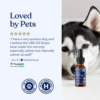 Serenity CBD Oil for Ultimate Relaxation